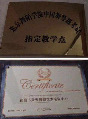 童心向陽 舞動飛揚 | 長陽美強汽車四周年慶典暨第六屆天天舞蹈藝術節圓滿結束！